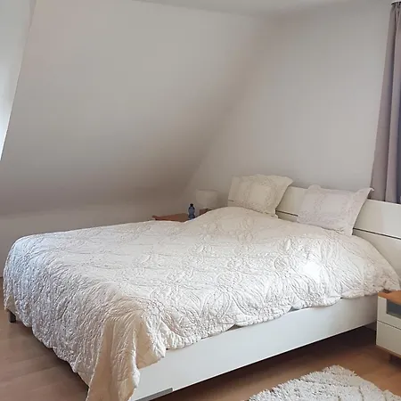 Grosse 84qm Mit Garten In Apartament *