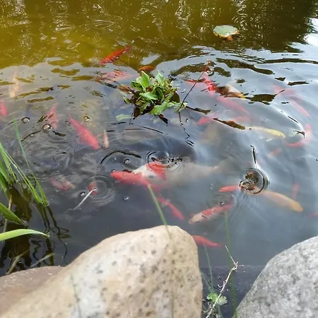 Grosse 84qm Mit Garten In 아파트 분스토트