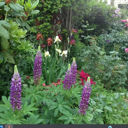 Grosse 84qm Mit Garten In * 분스토트